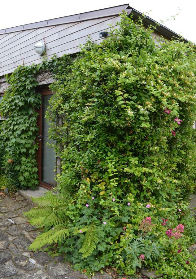 Hotel Jardin De Belle Vue Quimperlé Zewnętrze zdjęcie